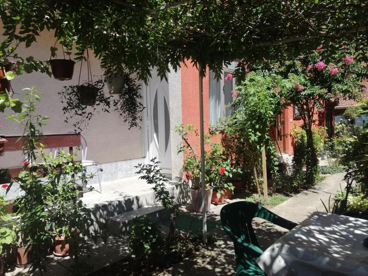 Apartman Nana Jagodina Exterior foto