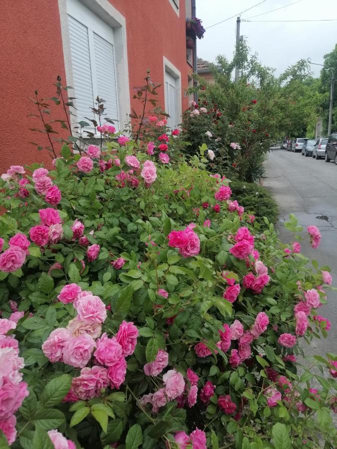 Apartman Nana Jagodina Exterior foto